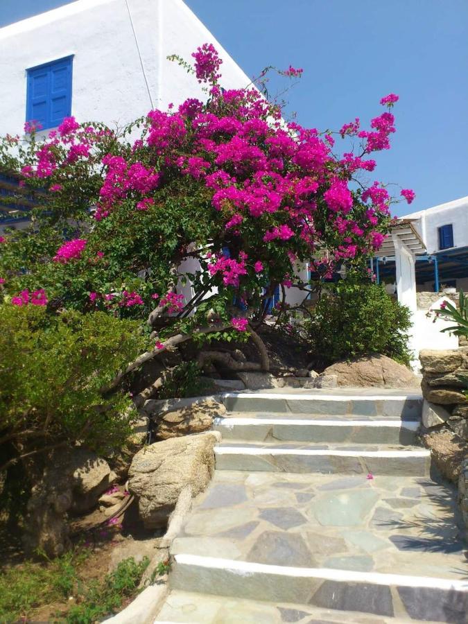 Hidden Serenity Apartment Mykonos Town Exterior photo