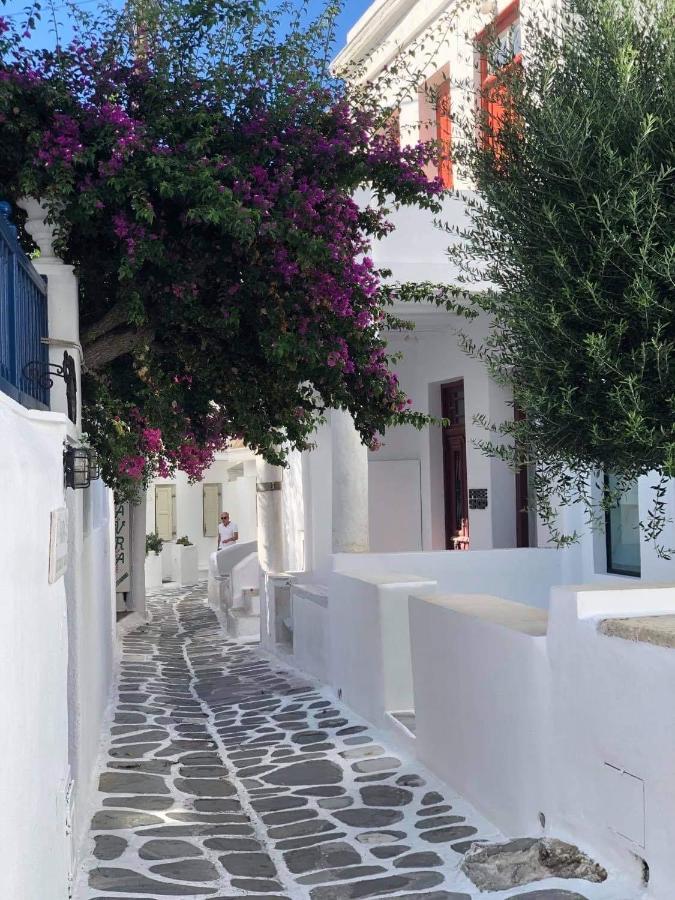 Hidden Serenity Apartment Mykonos Town Exterior photo